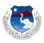 DR BCC Hindu College, Chennai logo