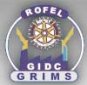 GIDC Rajju Shroff Rofel Institute of Management Studies logo