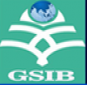 GITAM School of International Business, Visakhapatnam logo