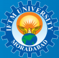 IFTM University, Moradabad logo