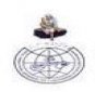 Shankara Institute of Management, Jaipur logo