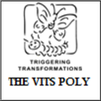 THE VITS POLYTECHNIC logo