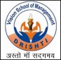 Vision School of Management logo